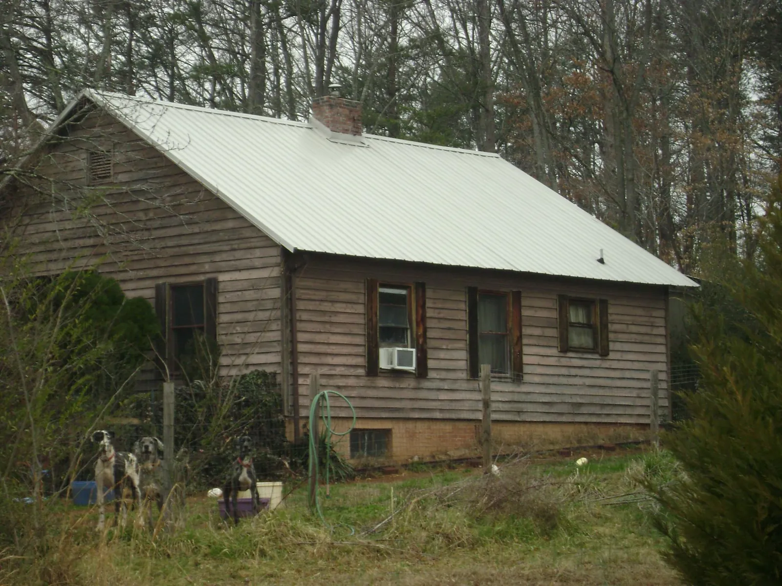 White metal roof on an old wood sided farmhouse, from a Asphalt Shingle Roof Repair job in Prosper